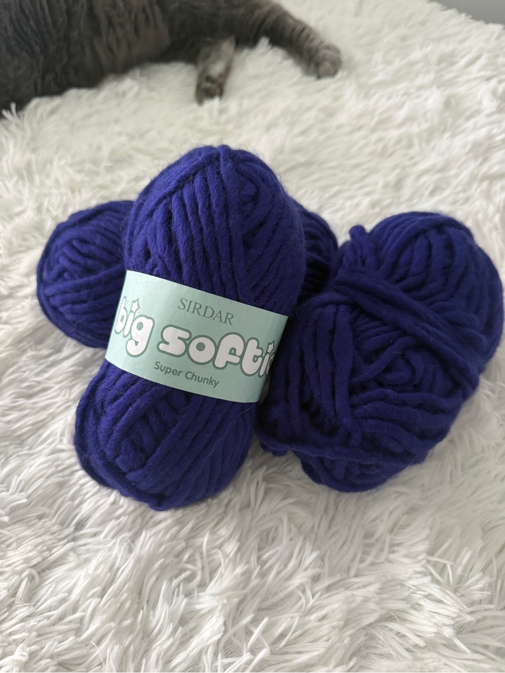 Big Softie Super Chunky Yarn in Deep Purple